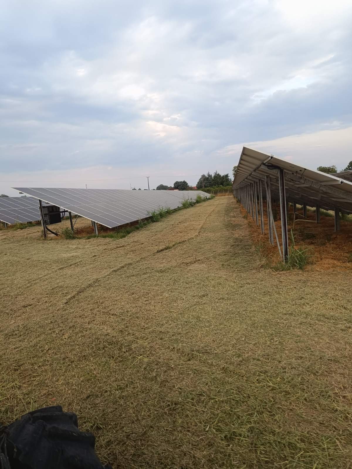 Φωτοβολταϊκό πάρκο μετά από αποψίλωση - καθαρισμένο έδαφος μεταξύ σειρών πάνελ