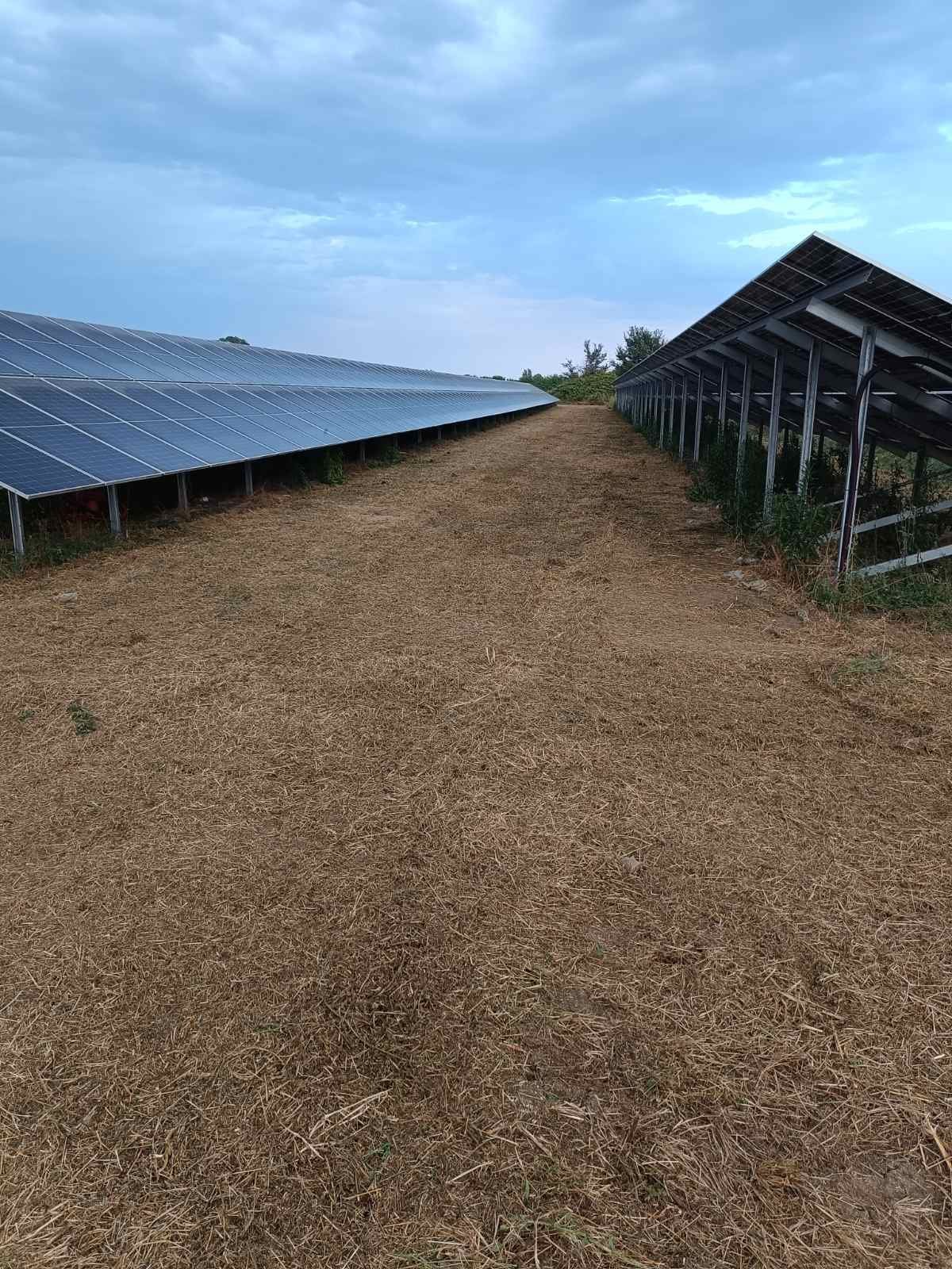 Καθαρισμένος χώρος μεταξύ σειρών φωτοβολταϊκών πάνελ μετά αποψίλωση