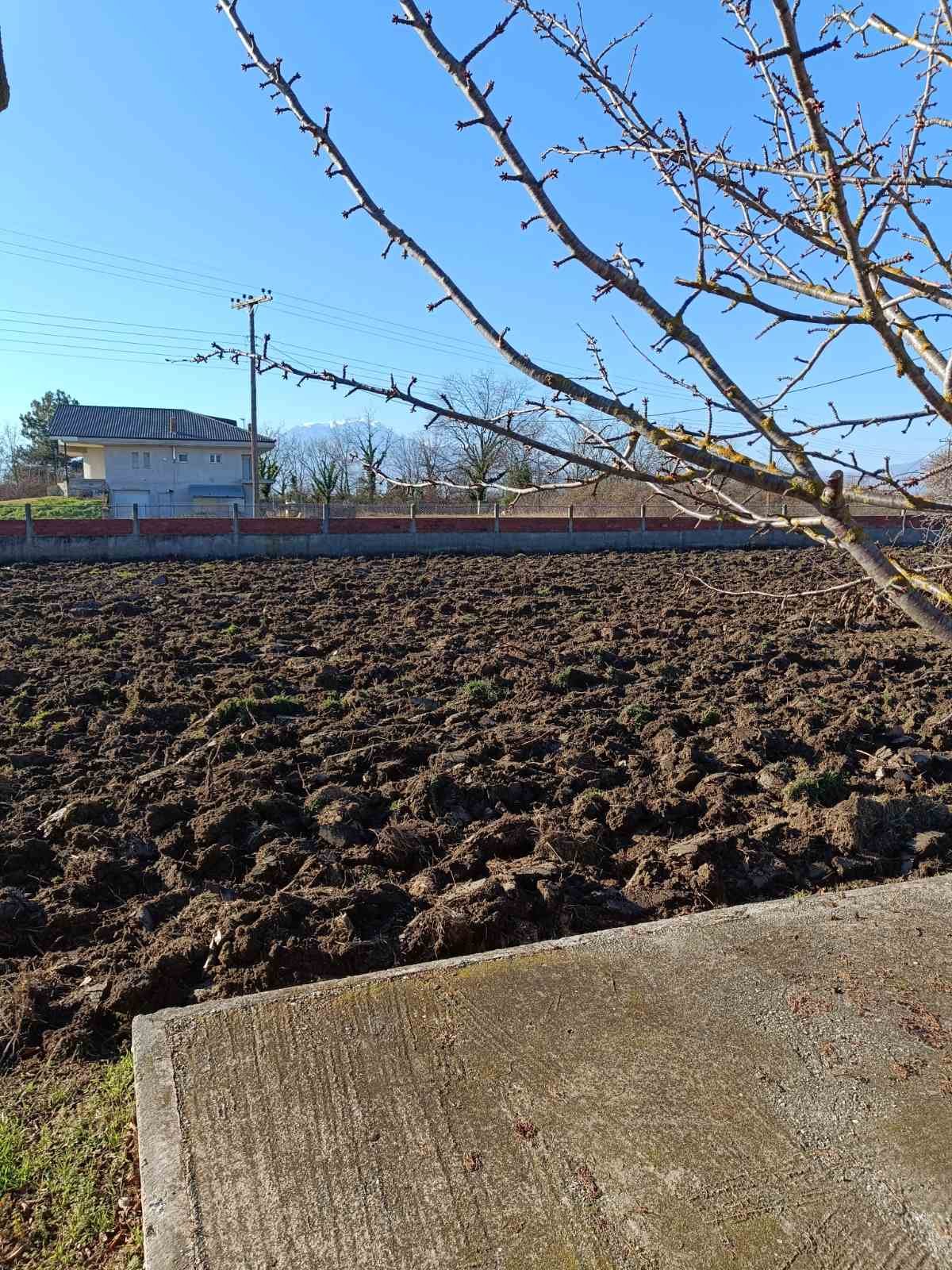 Φρεσκοοργωμένο χωράφι σε οπωρώνα με γυμνά δέντρα τον χειμώνα
